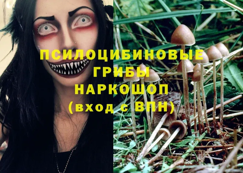 Галлюциногенные грибы Magic Shrooms  Орёл 